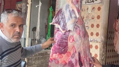 ضبط لحوم وأسماك غير صالحة للاستهلاك الآدمي بالبحيرة