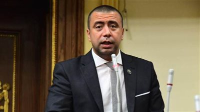 رئيس برلمانية حماة الوطن بالنواب يشيد بموقف مصر لتقديم مذكرة للعدل الدولية عن انتهاكات إسرائيل