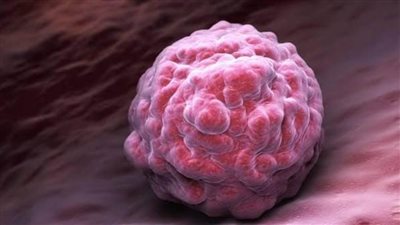 دراسة حديثة تساهم في تطوير علاج الأمراض التي تسببها 