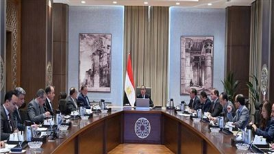 رئيس الوزراء يتابع موقف مشروع توسعات مصفاة تكرير ميدور بالإسكندرية