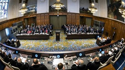  دبلوماسيون: مرافعة مصر أمام 