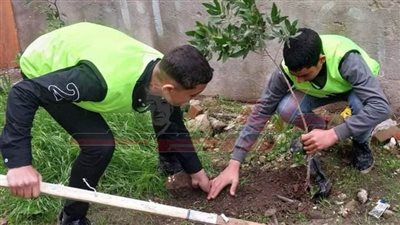 تنفيذ مشروع الخدمة العامة بمركز شباب كفر الشيخ 