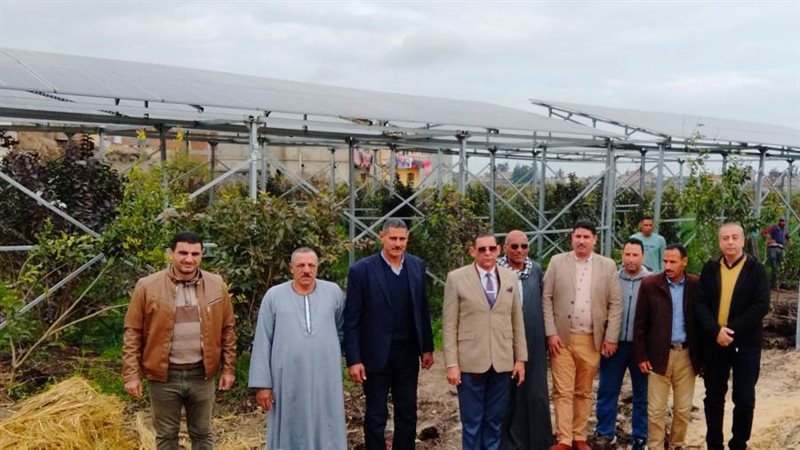 وكيل وزارة الزراعة