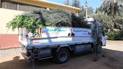 محافظة سوهاج تتسلم 46 ألف شجرة جديدة من وزارة التنمية المحلية 