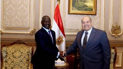 رئيس الشيوخ يبحث تعزيز التعاون البرلماني مع رئيس الجمعية الوطنية بكوت ديفوار