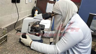 تقديم خدمات علاجية لـ 965 مواطنًا بالقوافل الطبية المجانية بكفر الشيخ 