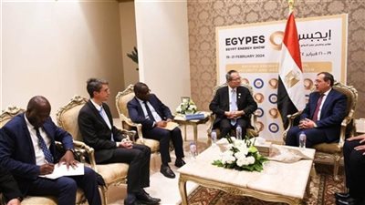 وزير البترول يؤكد أهمية التعاون مع البنك الدولي في مجال الغاز