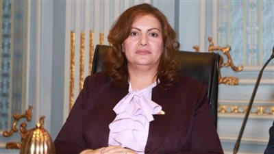 نصيف: مشاركة مصر في محكمة العدل الدولية محاولة لضمان تحقيق العدالة للشعب الفلسطيني ووقف الصراع