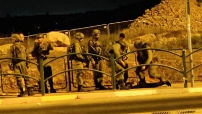 رام الله: الاحتلال يعتقل 6 أطفال من عابود ورئيس مجلس قروي رنتيس