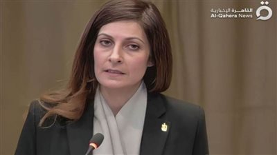 سياسيون: المرافعة المصرية تحمل رسائل شديدة الأهمية أبرزها ضرورة محاسبة الاحتلال الإسرائيلي على جرائمه