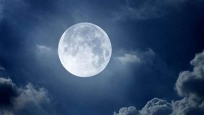 السبت المقبل .. بدر 