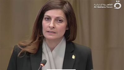 عاجل.. الدفوع والأسانيد القانونية في المرافعة المصرية ضد الاحتلال الإسرائيلي 