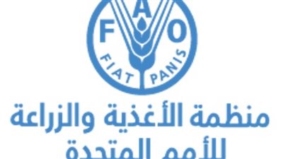 الفاو تطلق مشروعاً لتحسين نظام الرقابة على الأغذية في مصر