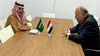 شكري يتبادل الرؤى مع نظيره السعودي بشأن تطورات الحرب الإسرائيلية على غزة