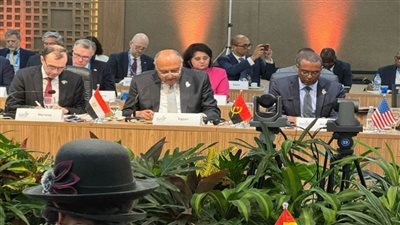 شكرى يشارك في جلسة بعنوان 