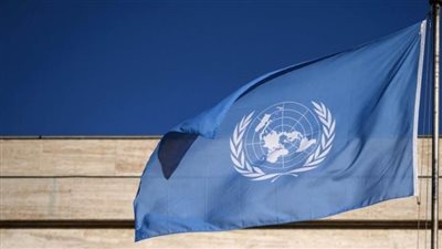 خبراء بالأمم المتحدة يطالبون بوقف فوري لصادرات الأسلحة إلى إسرائيل