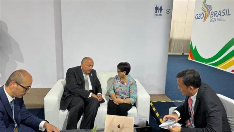 وزير الخارجية سامح