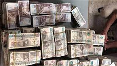 سقوط متهمين غسلا 63 مليون جنيه حصيلة النصب