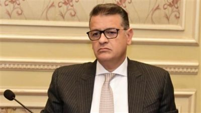 طارق رضوان: نجاح الحكومة في جذب الاستثمارات الأجنبية يكفل تخطي التحديات الاقتصادية