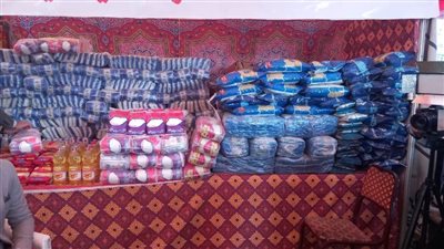 القليوبية: 12 معرض 