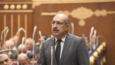 وهبة: رأس الحكمة تدعم الاقتصاد الوطني في مواجهة التحديات ويمثل انتعاشة للسوق الدولارية