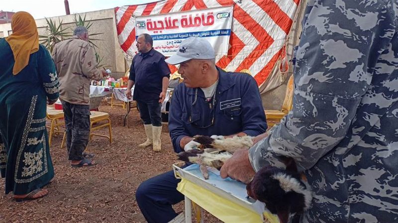 جانب من القافلة البيطرية