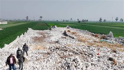 الموجة 22.. إزالة 82 حالة تعد على الأرض الزراعية وأملاك الدولة بالمنيا