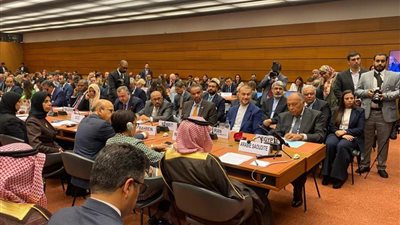 شكري: غض بصر بعض الأطراف باجتماعات مجلس حقوق الإنسان عن معاناة الفلسطينيين أمر مشين