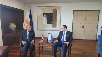 شكري ونظيره القبرصي يبحثان العلاقات الثنائية وتطورات الحرب الجارية في قطاع غزة