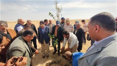  محافظ شمال سيناء ورئيس بحوث الصحراء يتفقدان التجمعات الزراعية