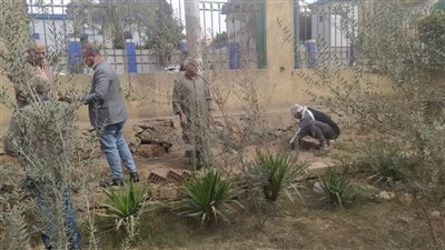استمرار زراعة شجرة زينة ومثمرة بالمنيا ضمن مبادرة 100 مليون شجرة