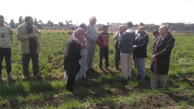 ترشيد استهلاك المياه وزيادة إنتاجية المحاصيل الزراعية ببني سويف 