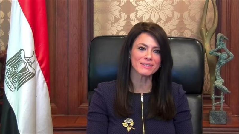 وزيرة التعاون الدولي