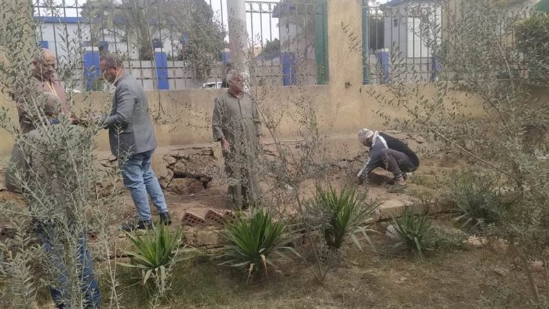 زراعة أشجار مثمرة