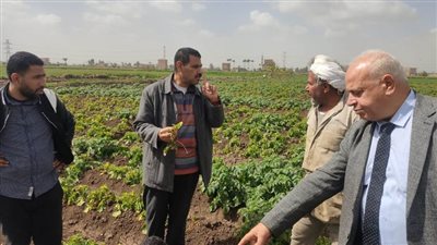 الزراعة تتابع زراعات الخضر وتراخيص المشاتل في ٤ محافظات