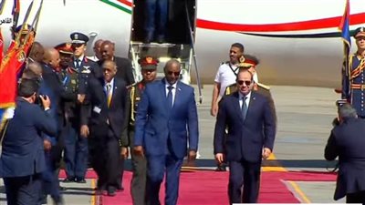 عاجل.. الرئيس السيسي يؤكد حرص مصر على أمن السودان الشقيق