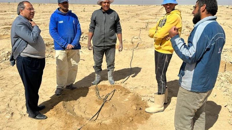 جانب من جولة مستشار