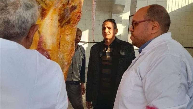 إعدام رأس ماشية مصابة