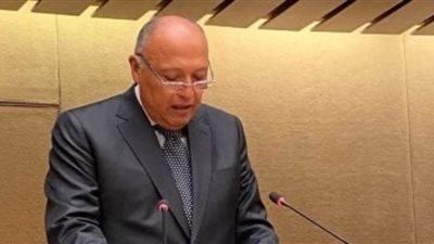 شكري يبدأ اليوم جولة خليجية تشمل قطر والرياض