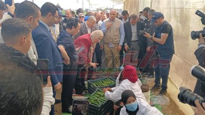 وزيرة التضامن ومدير الفاو ومحافظ المنيا يتفقدون مشروعات تحسين المعيشة بقرى العدوة