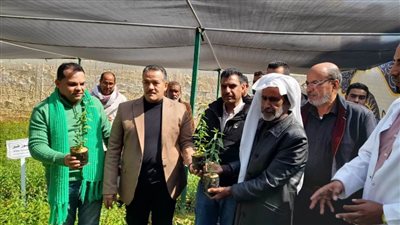 الزراعة توزع 25 ألف شتلة لوز على مزارعي الشيخ زويد