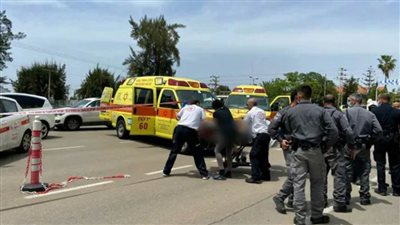 إصابة مستعمر في عملية طعن جنوبي الخليل