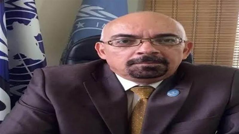 رئيس بعثة المجلس