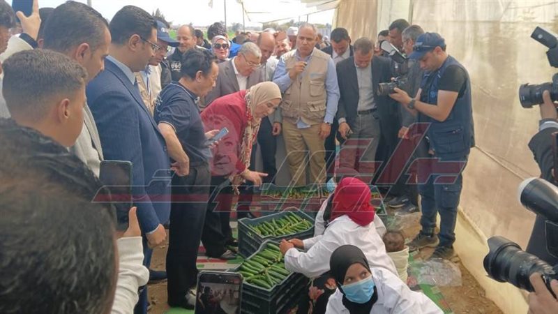 وزيرة التضامن الاجتماعي