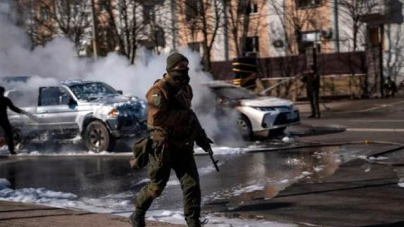 بوابة روز اليوسف