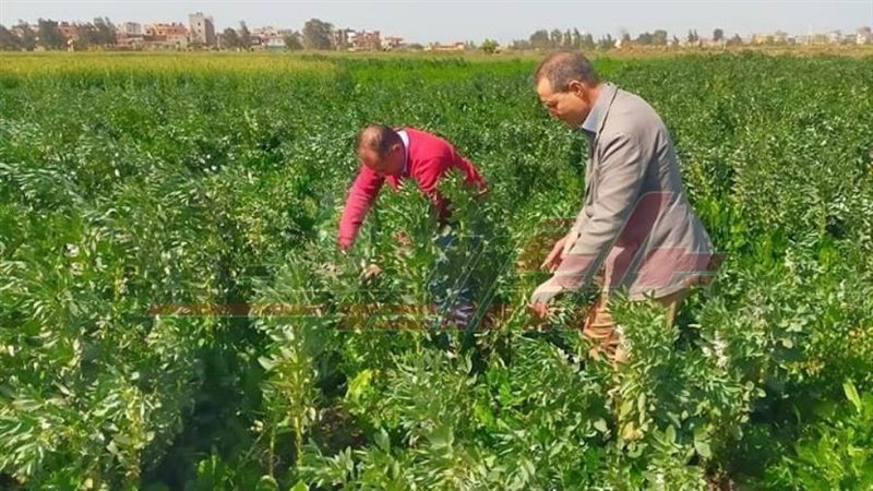 الفرق الإرشادية