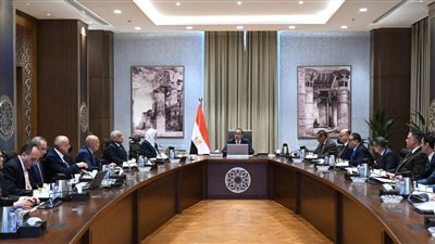 مدبولي: اهتمام بالغ من الرئيس السيسي بمتابعة موقف المناطق المطورة ونقل سكان المناطق غير الآمنة إليها