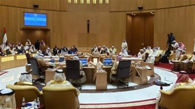 مجلس التعاون الخليجي: الأمن المائي لمصر والسودان جزء لا يتجزأ من الأمن القومي العربي
