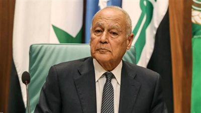 أبوالغيط: الحفاظ على سوريا وتكامل ترابها الوطني يعد محل إجماع كامل من الدول العربية