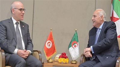 تونس والجزائر يثمنان نجاح القمة السابعة لمنتدى الدول المصدرة للغاز